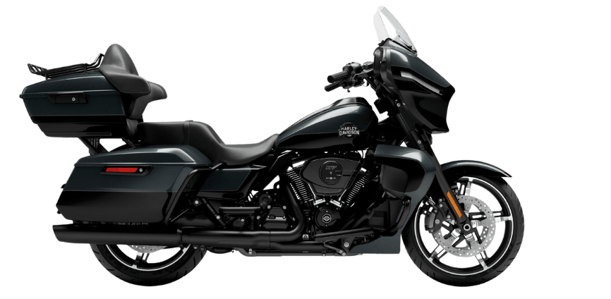 IRON HORSE METALLIC / VIVID BLACK